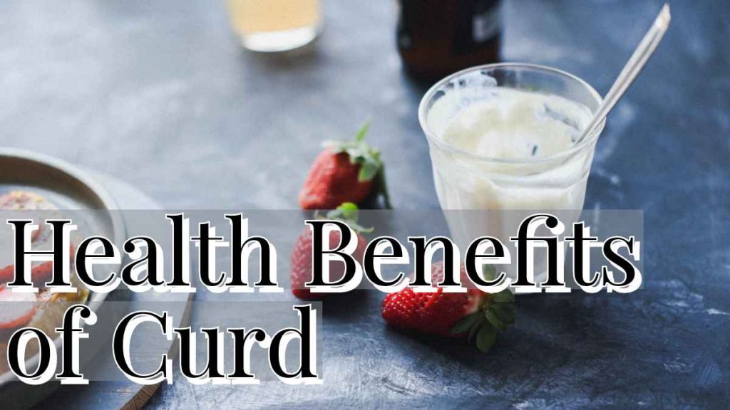 Health Benefits of Curd and What is the best time to eat curd? Basic of Science