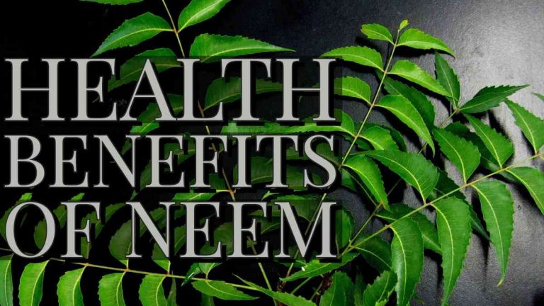 8 Tremendous Benefits Of Bitter Neem Leaves (Azadirachta Indica ...