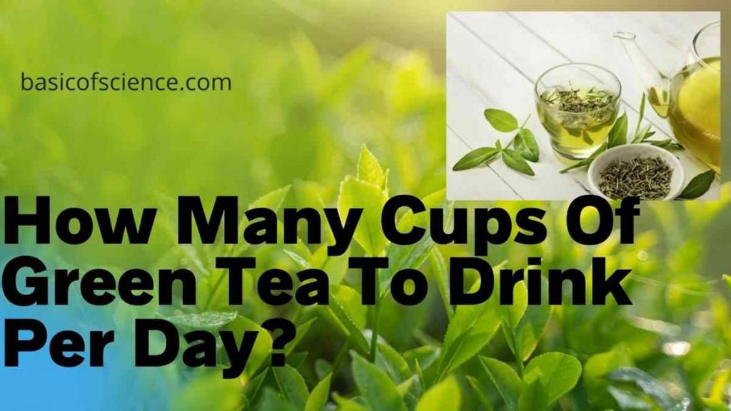 How Many Cups Of Green Tea To Drink Per Day? Basic of Science