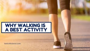 Why Walking Is A Best Activity For Brain Health And Walking Benefits ...