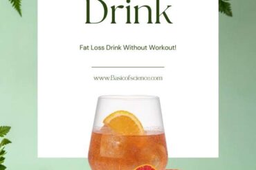 5 Best Fat Burning Drinks to Lose Belly Fat